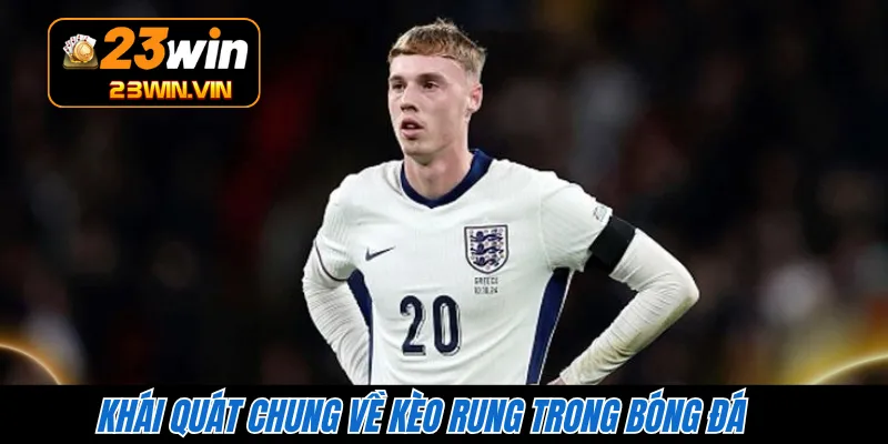 Khái quát chung về kèo rung trong bóng đá 