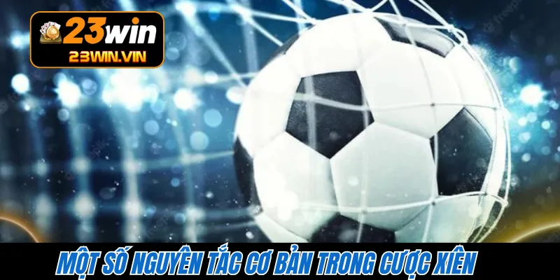 Một số nguyên tắc cơ bản trong cược xiên 