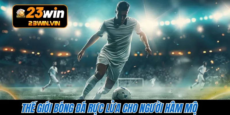 Thế giới bóng đá rực lửa cho người hâm mộ 