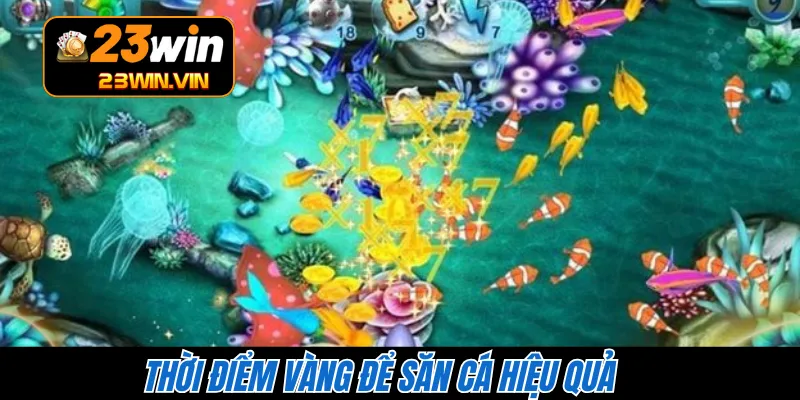 Thời điểm vàng để săn cá hiệu quả 
