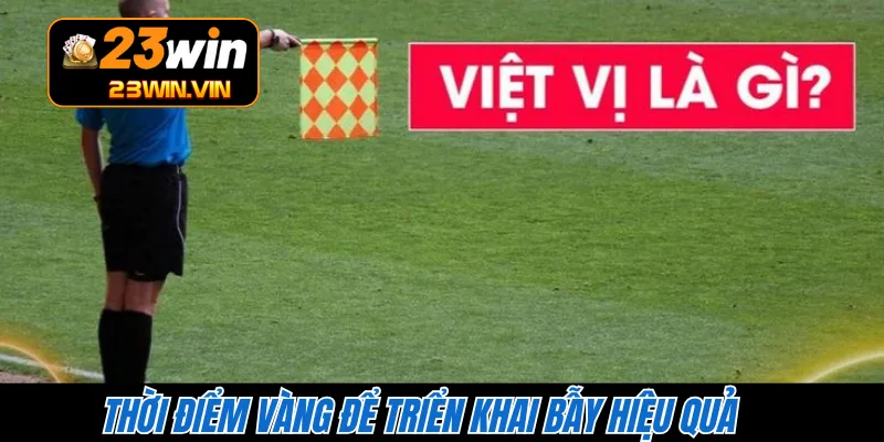 Thời điểm vàng để triển khai bẫy hiệu quả