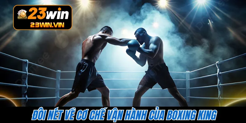Đôi nét về cơ chế vận hành của Boxing King