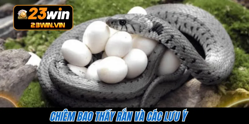 Chiêm bao thấy rắn và các lưu ý 