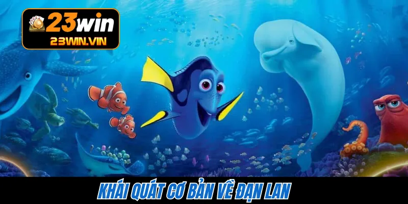 Khái quát cơ bản về đạn lan 