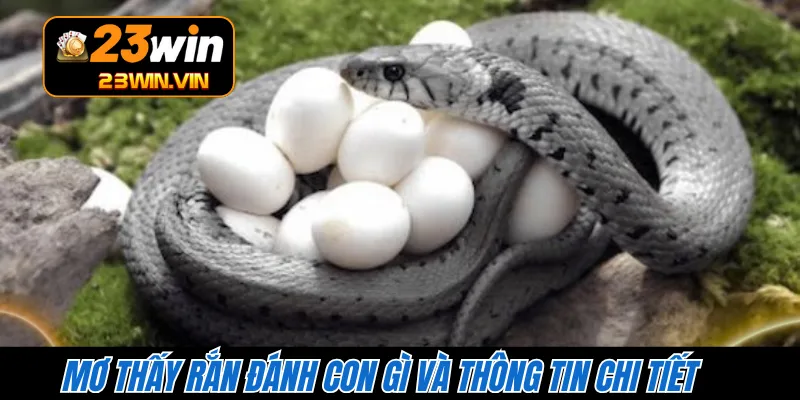 Mơ thấy rắn đánh con gì và thông tin chi tiết 