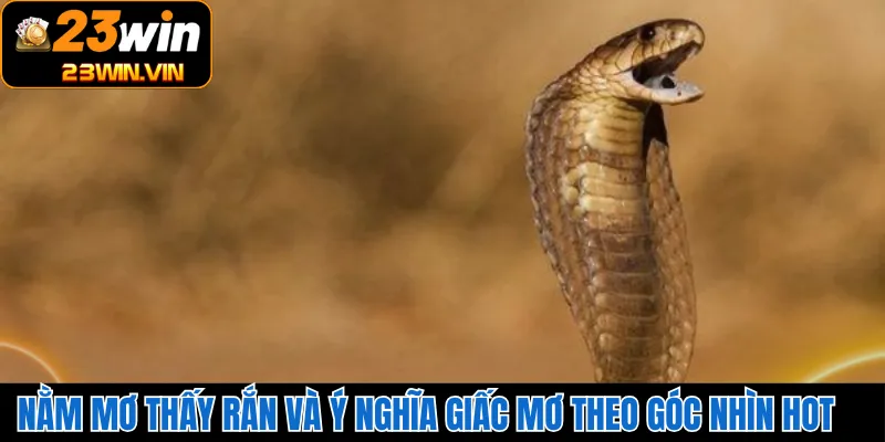 Nằm Mơ Thấy Rắn Và Ý Nghĩa Giấc Mơ Theo Góc Nhìn Hot