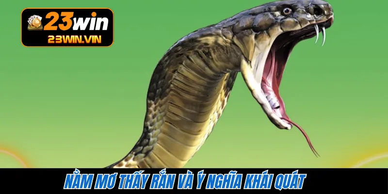 Nằm mơ thấy rắn và ý nghĩa khái quát 