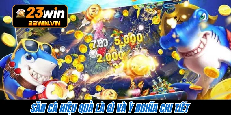 Săn cá hiệu quả là gì và ý nghĩa chi tiết