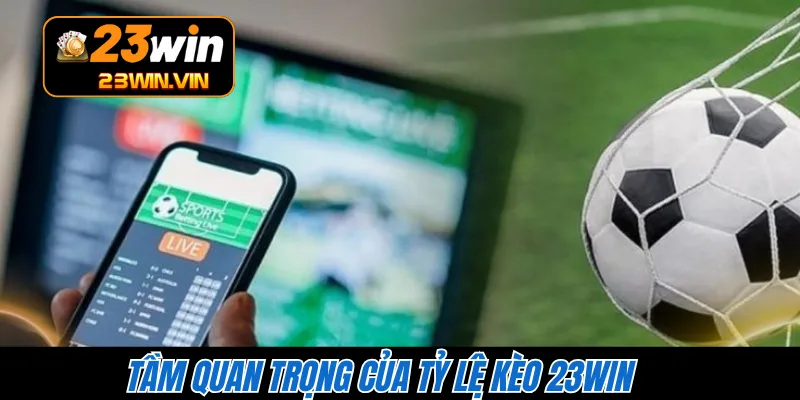 Tầm quan trọng của tỷ lệ kèo 23WIN 