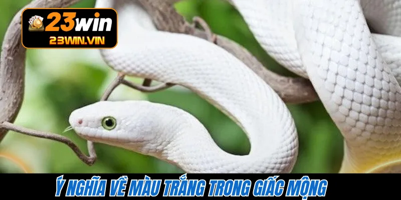 Ý nghĩa về màu trắng trong giấc mộng 